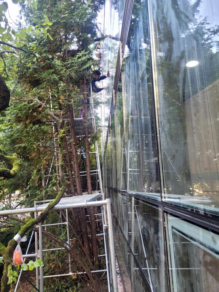 235149625_1is2dbLh_8338003ba88c671654a5b630dd005bfa92277ee1.jpg 이미지크게보기