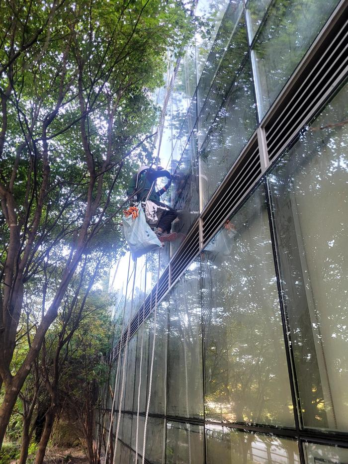 235149625_2J8D6V1G_0e80ecaac350d555f90ac68fa5e11604ef772bbc.jpg 이미지크게보기