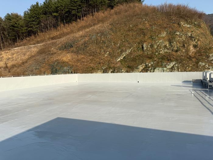 235149625_35fEMzZd_8d2fff1dc822e0ecfd283bf7efab4a6b77cb6be5.jpg 이미지크게보기