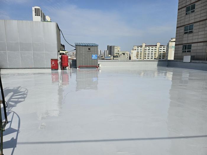 235149625_3AzW0Y8P_224e022541cb44e85c43189b7de7525087a5a59c.jpg 이미지크게보기