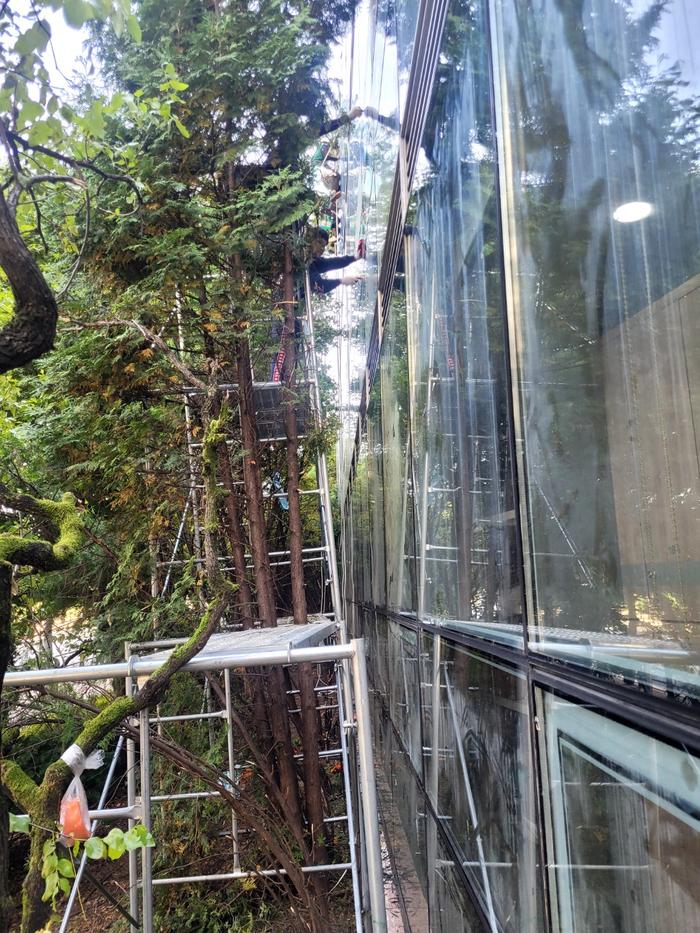 235149625_3jbvHoKE_199f3c5092bf49db864e19361f63f12f1aca6658.jpg 이미지크게보기