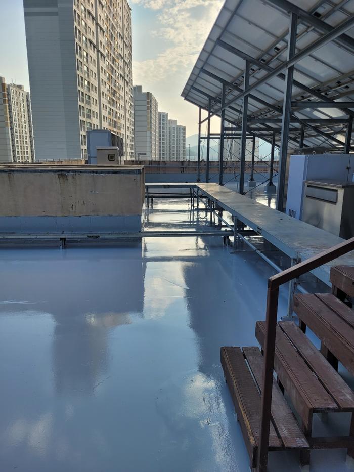 235149625_6ICVWKxN_f9c8133991e65bc27f061bfac43f05f177353e36.jpg 이미지크게보기