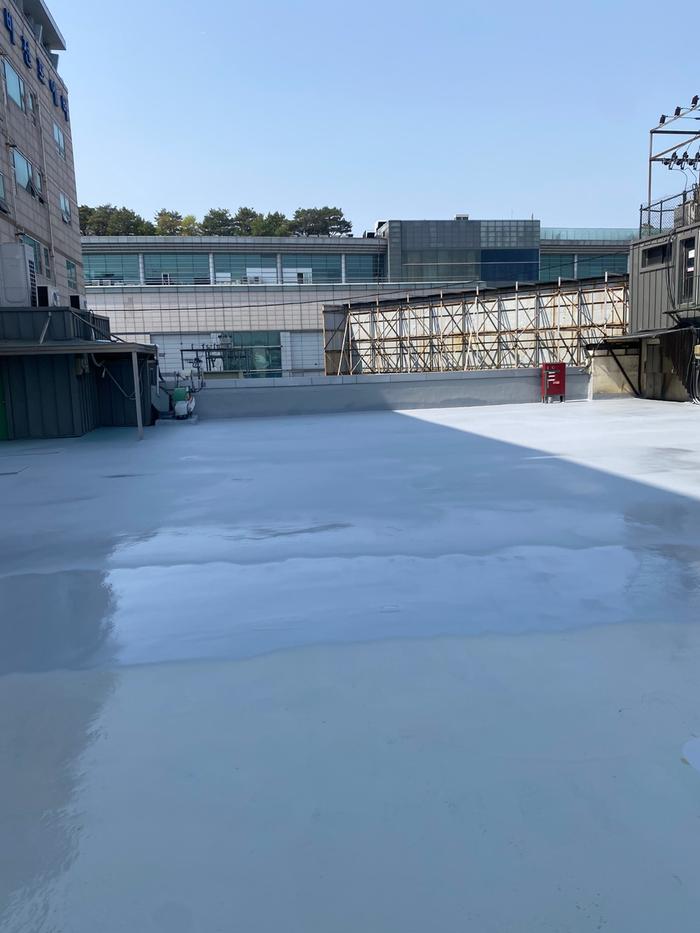 235149625_IBEDVZaS_08ca82d60deee0e69d0014afa5c490babc174ae7.jpg 이미지크게보기