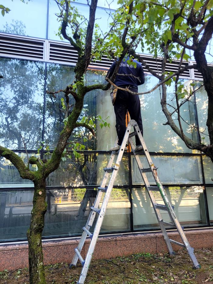 235149625_K67Ht0fn_57c2ce7ac7415555d6955f994221168b05fe4a18.jpg 이미지크게보기