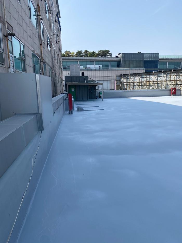 235149625_MuxBt8G6_01478f5513ccdac84424fe0a6b375cd94aeac47b.jpg 이미지크게보기