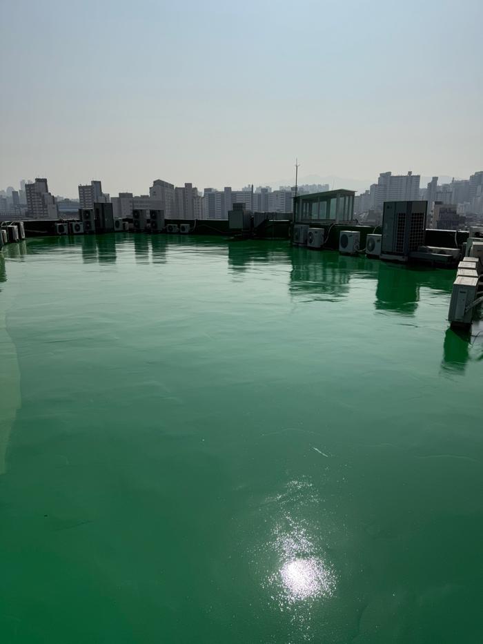 235149625_QUY5nfJS_662009707f29f0cf0799797e155d0c12a3bd54e9.jpg 이미지크게보기