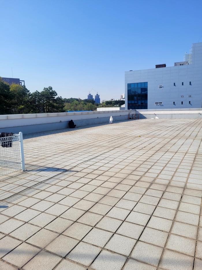 235149625_WymZTgVt_847dc57247ed2b9c5294a143babb6d8ee4014b86.jpg 이미지크게보기