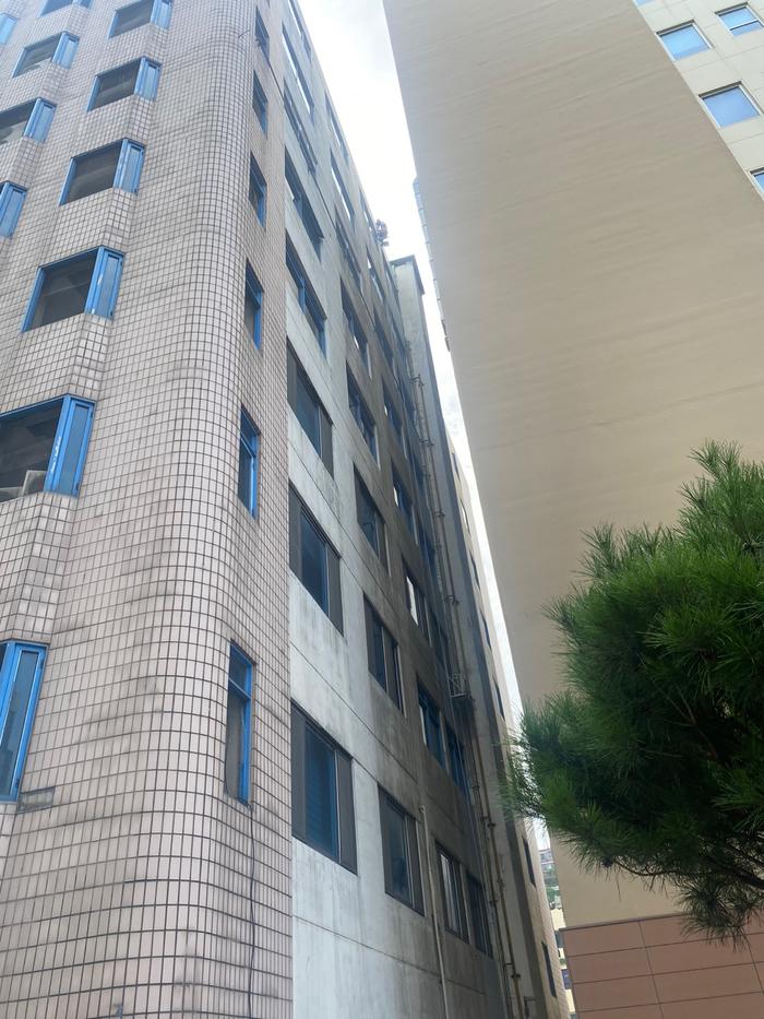 235149625_XVxSf7LA_d4a284c3ebfbb62e607e9377681616cc1eec13e4.jpg 이미지크게보기