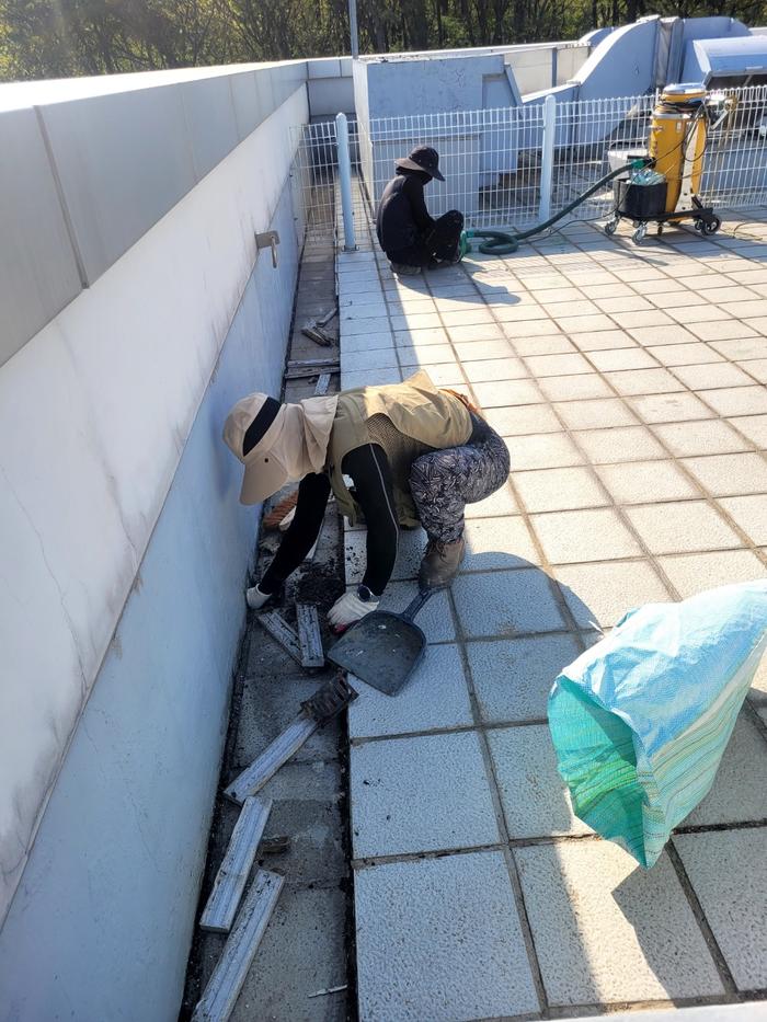 235149625_XtpKexCY_80c0443e331da9641a9d33b0308eade82bc0581c.jpg 이미지크게보기