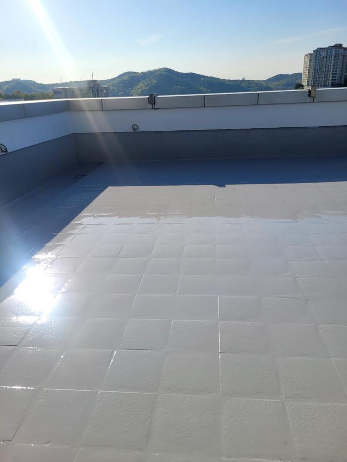 235149625_Y8hlf7C2_b32d864a503b5438c7a2cc8d70b91706c6cce5c0.jpg 이미지크게보기