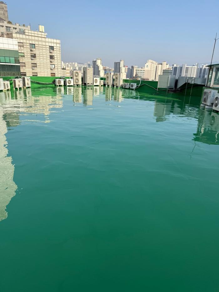 235149625_YfuTsB9V_d84165532604bdc004f971c9518cdb3984bf735d.jpg 이미지크게보기