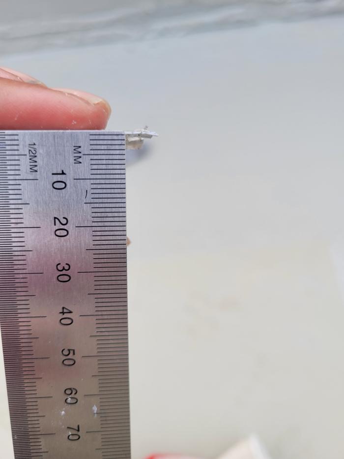 235149625_aBlXoh26_3c76f9a76e7d46ec11c4bf3fc1904511e917c1f4.jpg 이미지크게보기