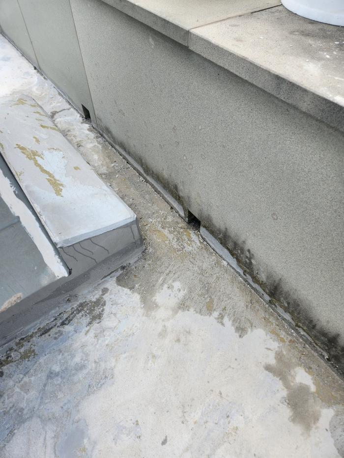 235149625_fDRMqHTe_6ab5b4c8470c4344f42f14339edb65b175a97494.jpg 이미지크게보기