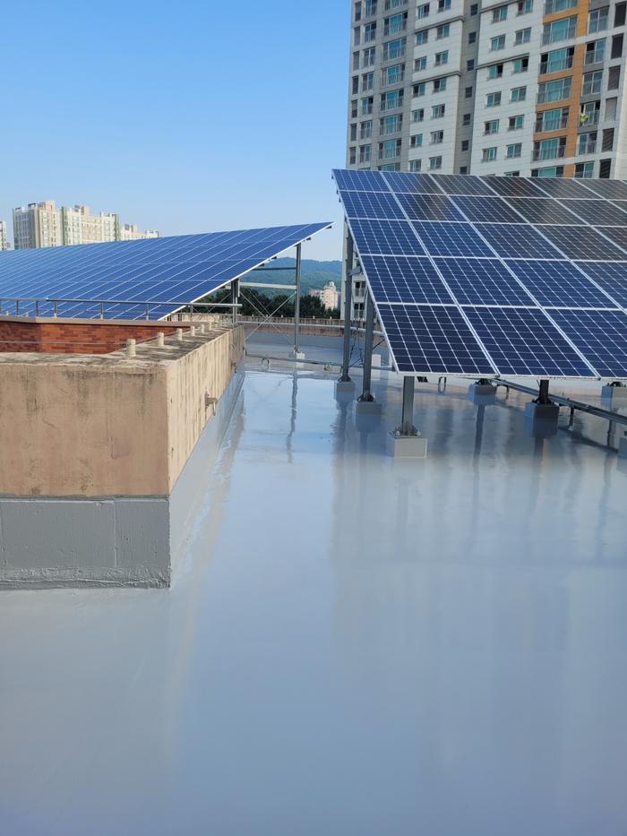 235149625_iJjKmLoO_bc6be0e12c0244a1454372706057c619a0f96784.jpg 이미지크게보기