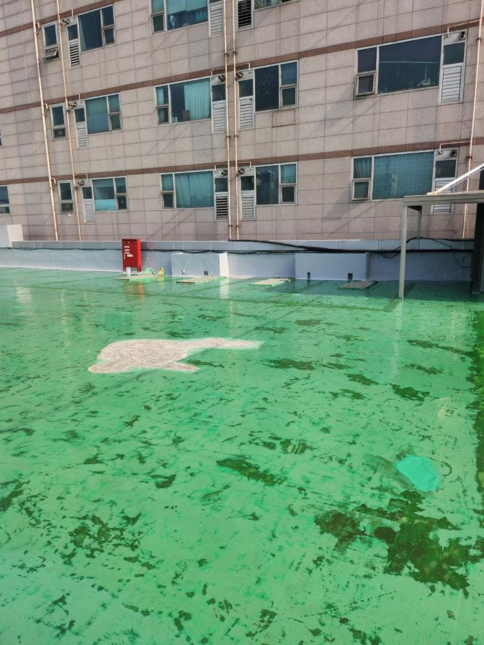 235149625_iwul6Zog_4110b398b2c7c48ed7a46de8cc9f6ad6e4f2ded3.jpg 이미지크게보기