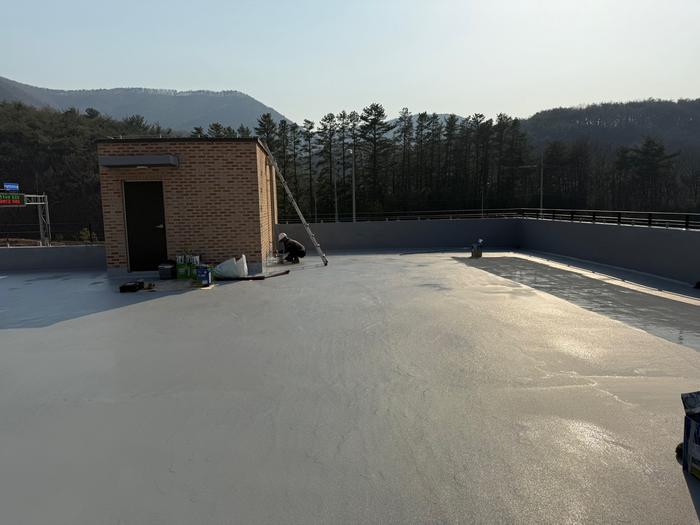 235149625_nA7mdORZ_b5239e7e022c1c367a4297728d979b82b334353a.jpg 이미지크게보기