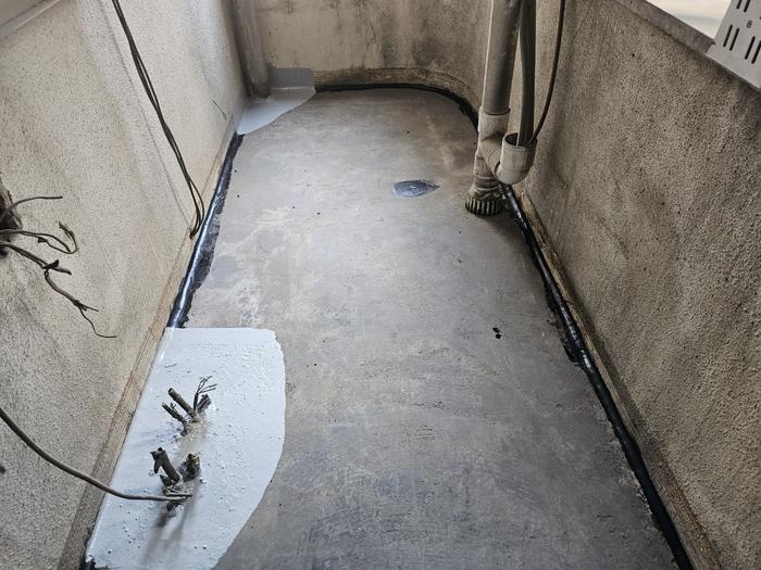 235149625_oySjdvTb_27e2f96faed27c19e0059bf7bbb3fa6ba06fbe24.jpg 이미지크게보기