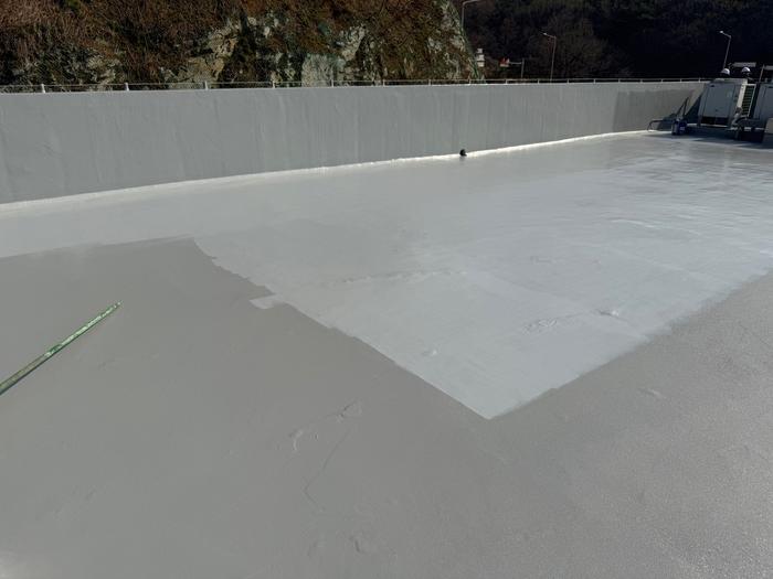 235149625_uEkc64Dj_6296a20e1d18a8325991ed9199bca25602a5f1b2.jpg 이미지크게보기