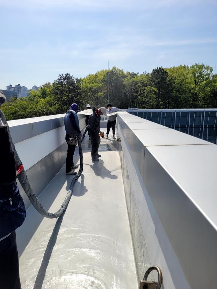 235149625_upaQSRBf_95e73e82afae3c42ac37d71f580e15e176475df8.jpg 이미지크게보기