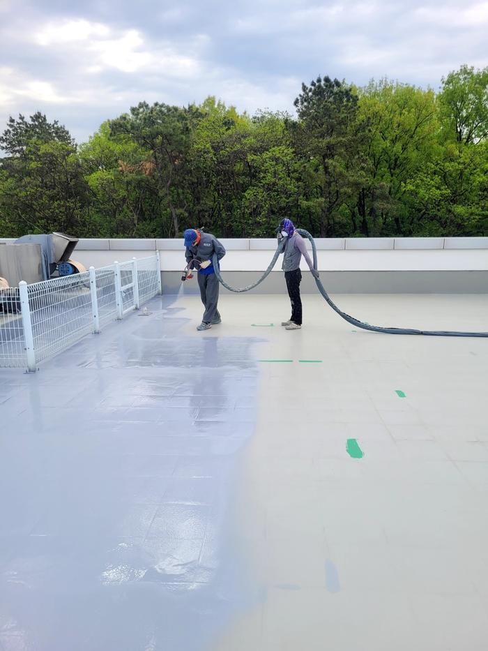 235149625_wZBElL5W_dd75d8885e13672d8e9d3e3a884f0ced199c5ec3.jpg 이미지크게보기