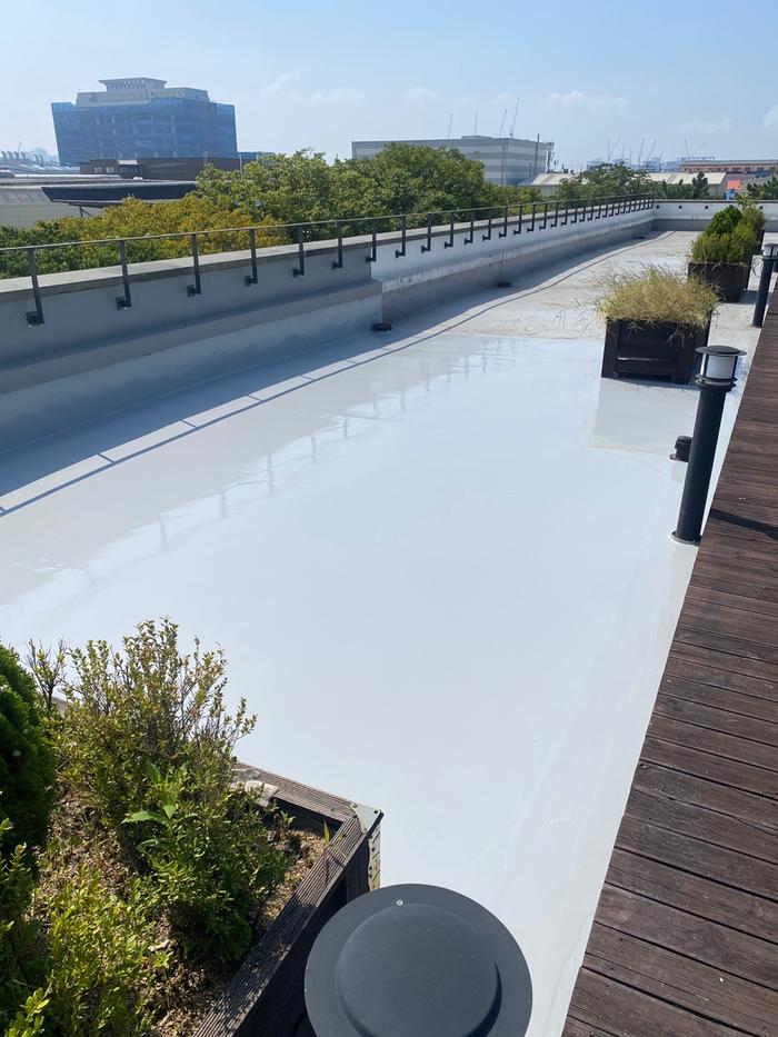 235149625_ze2HEy1n_65870ec5f4f51123d3c216b2c1b45a8ee84f775f.jpg 이미지크게보기