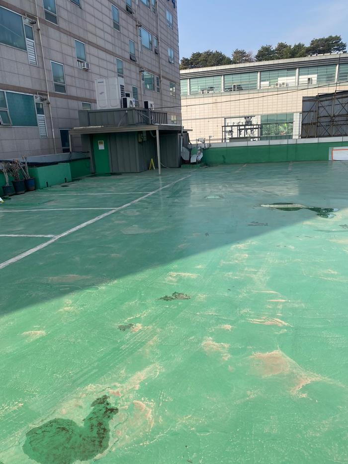 235149625_zrJ9yWIR_9e9d8606b30ca78cacb62fcaf986e276a44d48db.jpg 이미지크게보기