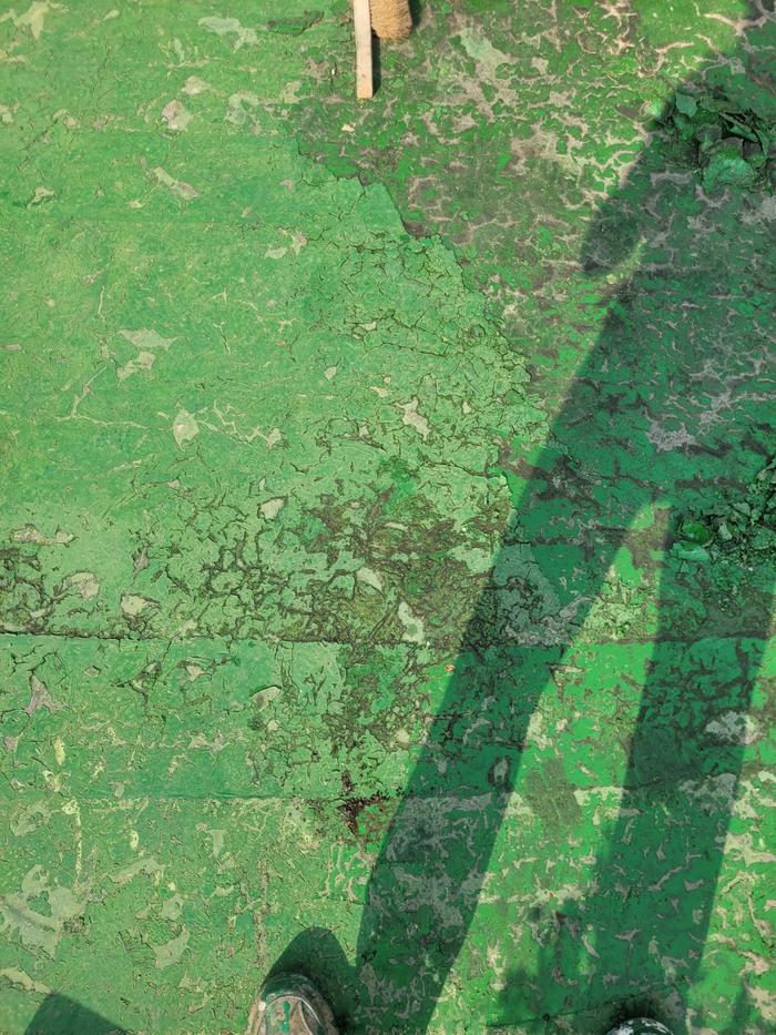 /user/t/thebareun/editor/2505/61a3c298b284bffcf3e6c381e0c29139_1747711478_0355.jpg 이미지크게보기