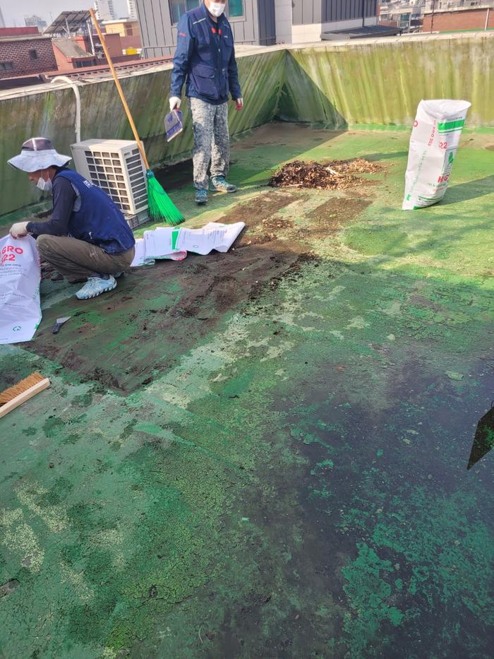 /user/t/thebareun/editor/2505/61a3c298b284bffcf3e6c381e0c29139_1747711478_1501.jpg 이미지크게보기