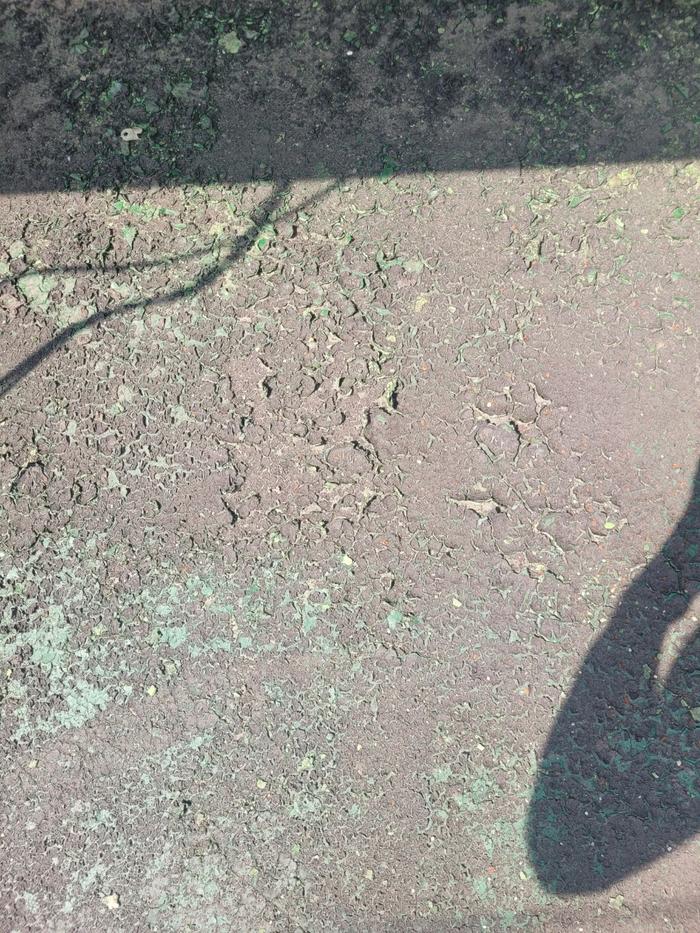 /user/t/thebareun/editor/2505/61a3c298b284bffcf3e6c381e0c29139_1747711478_9965.jpg 이미지크게보기