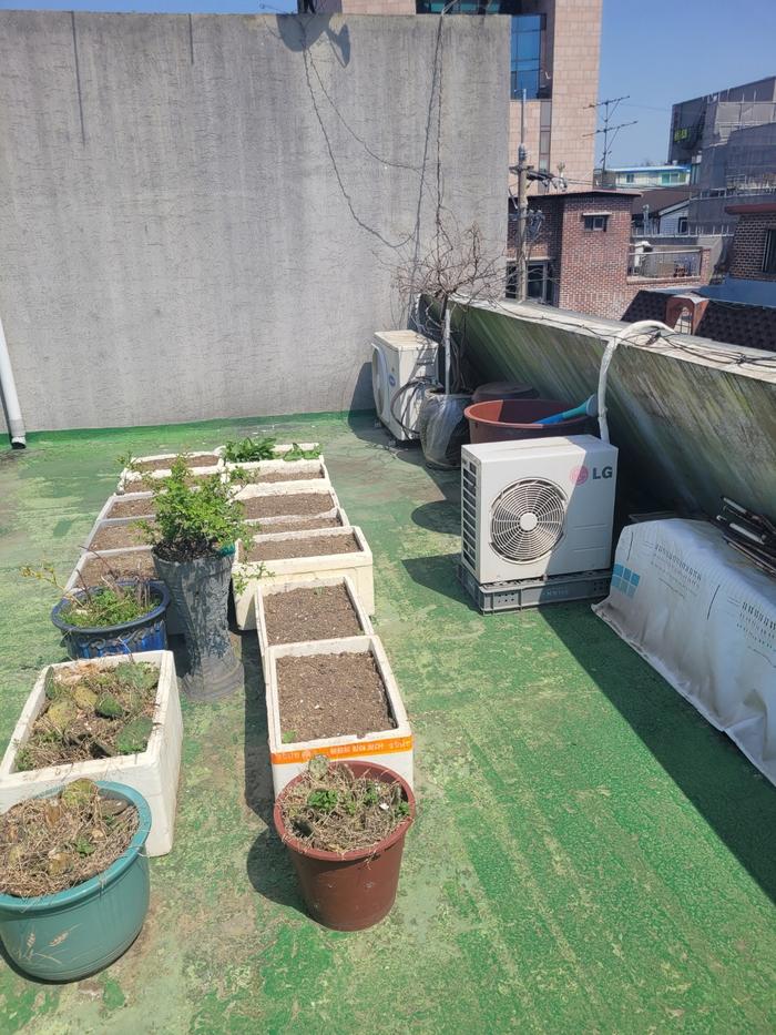 /user/t/thebareun/editor/2505/61a3c298b284bffcf3e6c381e0c29139_1747711486_392.jpg 이미지크게보기