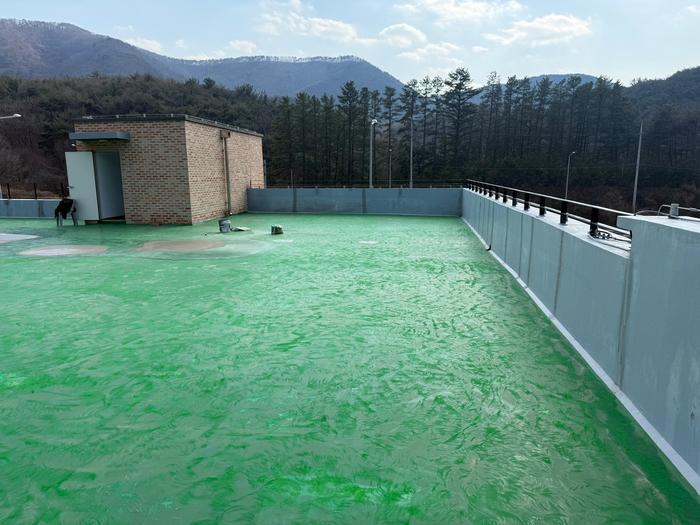 /user/t/thebareun/editor/2505/61a3c298b284bffcf3e6c381e0c29139_1747711697_9047.jpg 이미지크게보기