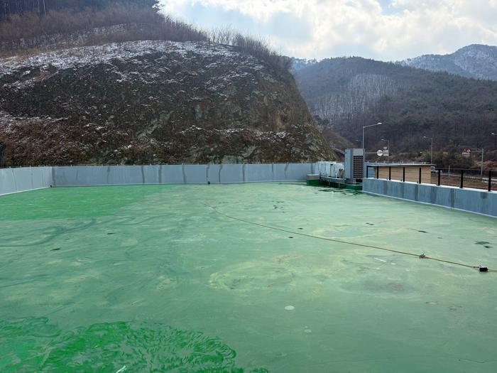 /user/t/thebareun/editor/2505/61a3c298b284bffcf3e6c381e0c29139_1747711705_6752.jpg 이미지크게보기