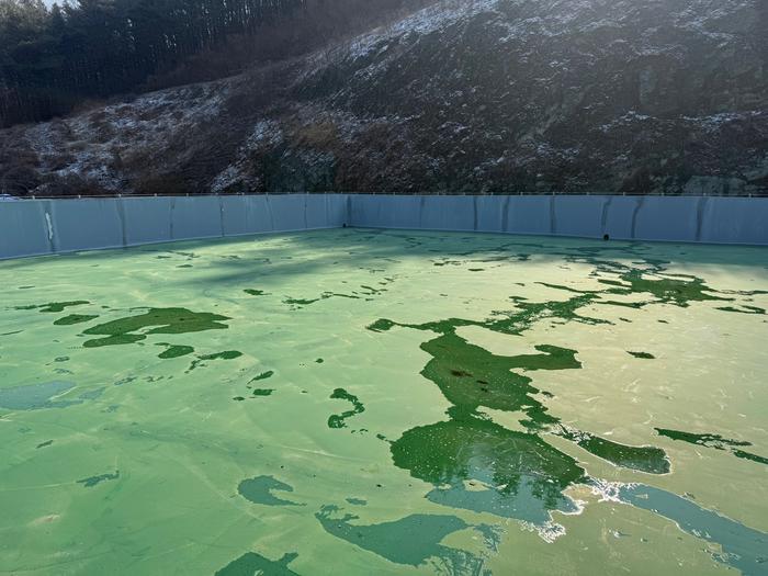 /user/t/thebareun/editor/2505/61a3c298b284bffcf3e6c381e0c29139_1747711714_6169.jpg 이미지크게보기