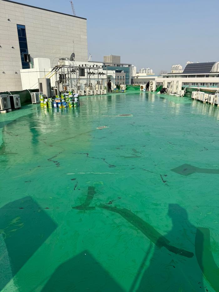 /user/t/thebareun/editor/2505/61a3c298b284bffcf3e6c381e0c29139_1747720407_1844.jpg 이미지크게보기