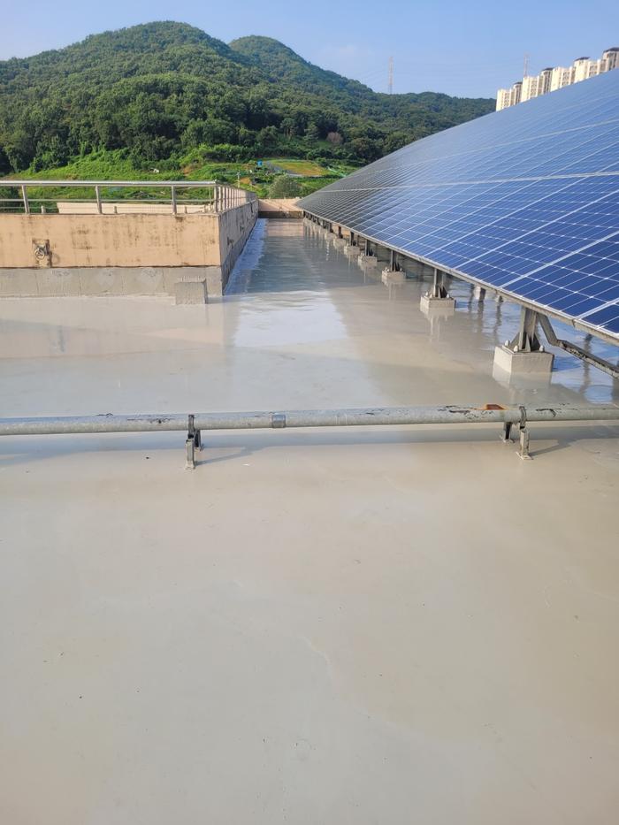 /user/t/thebareun/editor/2505/61a3c298b284bffcf3e6c381e0c29139_1747722166_3213.jpg 이미지크게보기