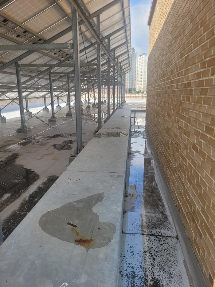 /user/t/thebareun/editor/2505/61a3c298b284bffcf3e6c381e0c29139_1747722186_2501.jpg 이미지크게보기