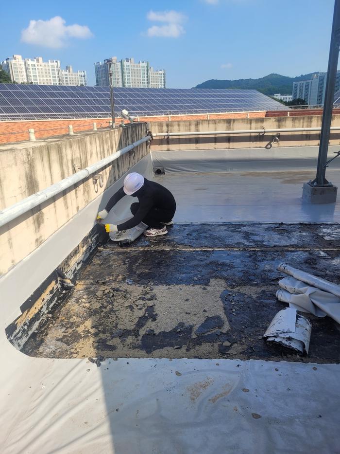 /user/t/thebareun/editor/2505/61a3c298b284bffcf3e6c381e0c29139_1747722200_7311.jpg 이미지크게보기