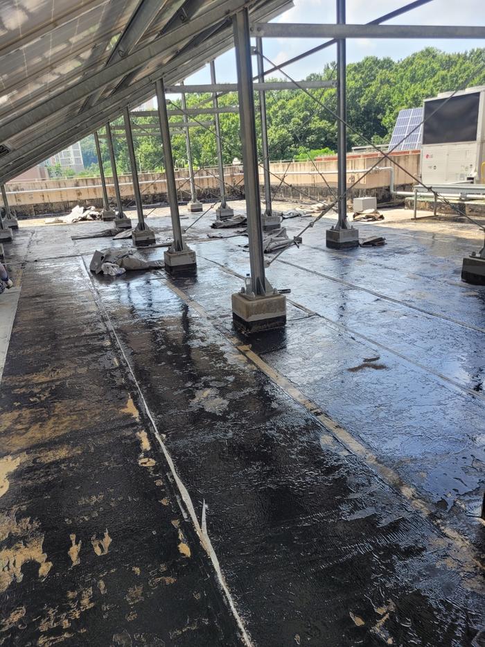 /user/t/thebareun/editor/2505/61a3c298b284bffcf3e6c381e0c29139_1747722245_7491.jpg 이미지크게보기