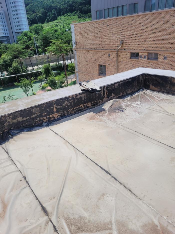 /user/t/thebareun/editor/2505/61a3c298b284bffcf3e6c381e0c29139_1747722268_823.jpg 이미지크게보기