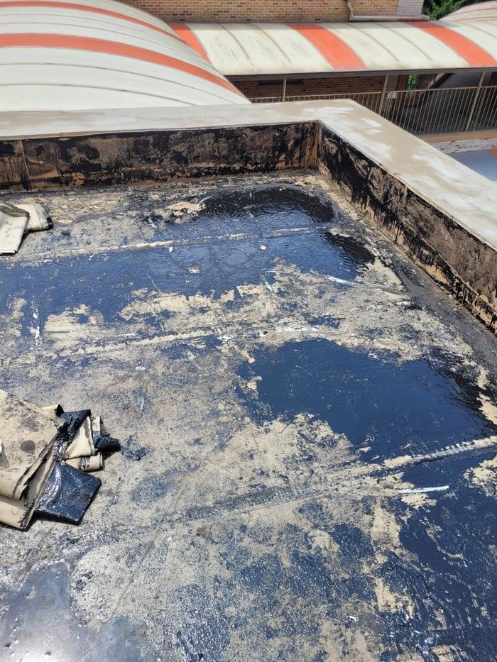 /user/t/thebareun/editor/2505/61a3c298b284bffcf3e6c381e0c29139_1747722269_3448.jpg 이미지크게보기