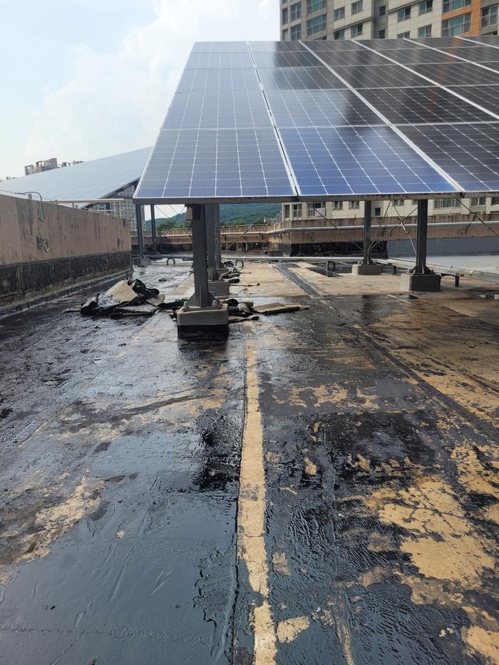 /user/t/thebareun/editor/2505/61a3c298b284bffcf3e6c381e0c29139_1747722280_287.jpg 이미지크게보기