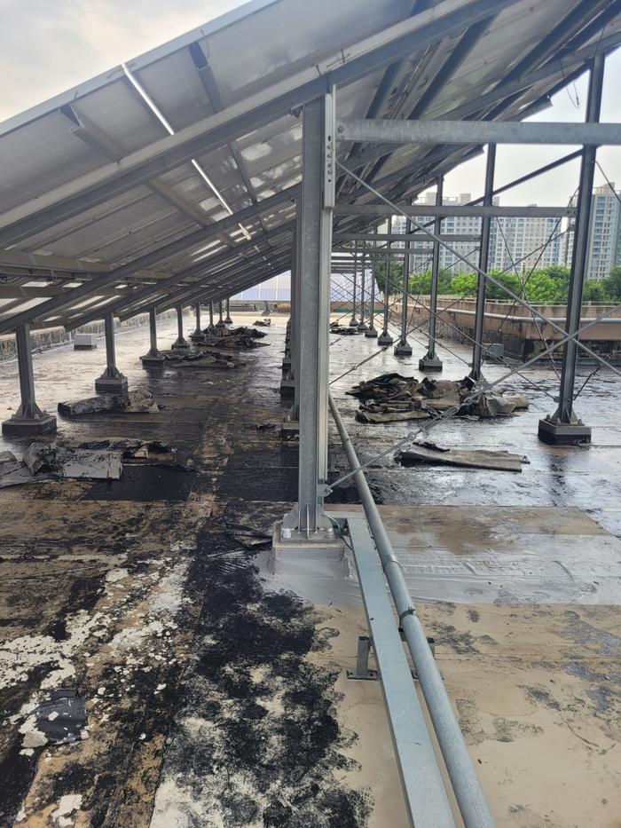 /user/t/thebareun/editor/2505/61a3c298b284bffcf3e6c381e0c29139_1747722280_542.jpg 이미지크게보기