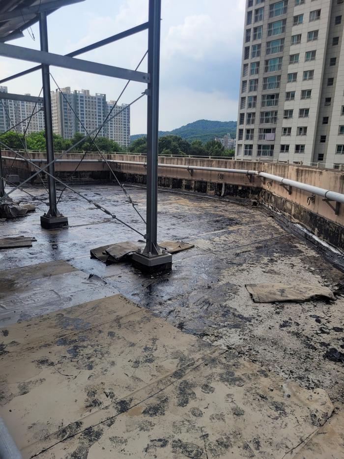 /user/t/thebareun/editor/2505/61a3c298b284bffcf3e6c381e0c29139_1747722280_6643.jpg 이미지크게보기