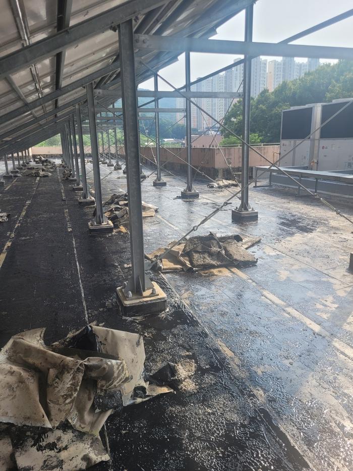 /user/t/thebareun/editor/2505/61a3c298b284bffcf3e6c381e0c29139_1747722467_1729.jpg 이미지크게보기