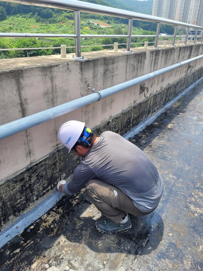 /user/t/thebareun/editor/2505/61a3c298b284bffcf3e6c381e0c29139_1747722482_8286.jpg 이미지크게보기