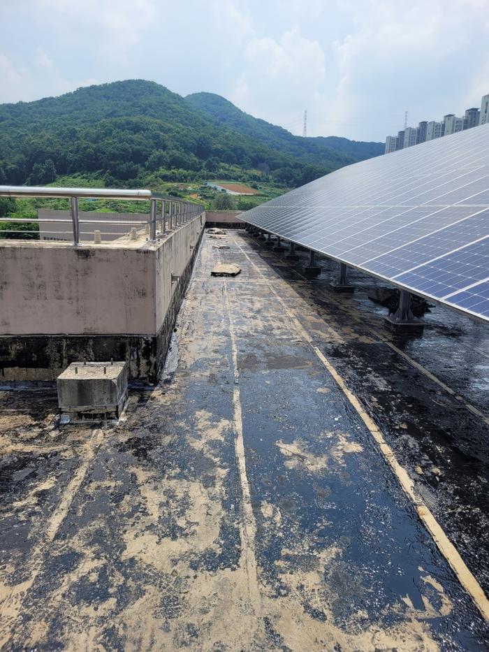 /user/t/thebareun/editor/2505/61a3c298b284bffcf3e6c381e0c29139_1747722482_9601.jpg 이미지크게보기