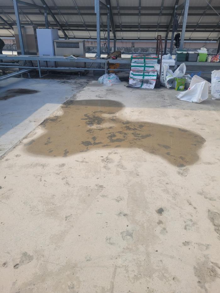 /user/t/thebareun/editor/2505/61a3c298b284bffcf3e6c381e0c29139_1747722512_0334.jpg 이미지크게보기