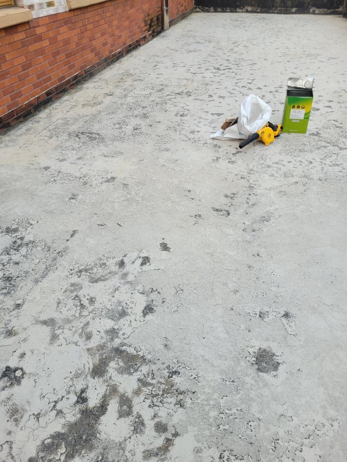 /user/t/thebareun/editor/2505/61a3c298b284bffcf3e6c381e0c29139_1747722619_9326.jpg 이미지크게보기