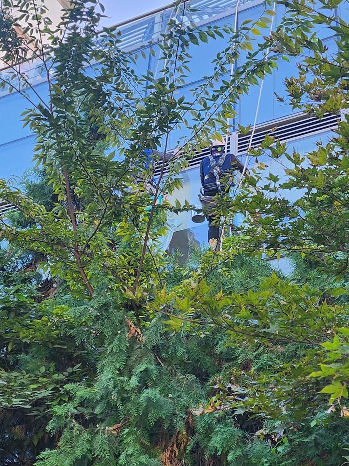 /user/t/thebareun/editor/2505/61a3c298b284bffcf3e6c381e0c29139_1747722937_9679.jpg 이미지크게보기