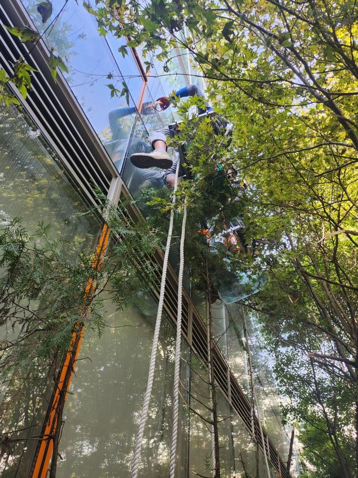 /user/t/thebareun/editor/2505/61a3c298b284bffcf3e6c381e0c29139_1747722938_3292.jpg 이미지크게보기